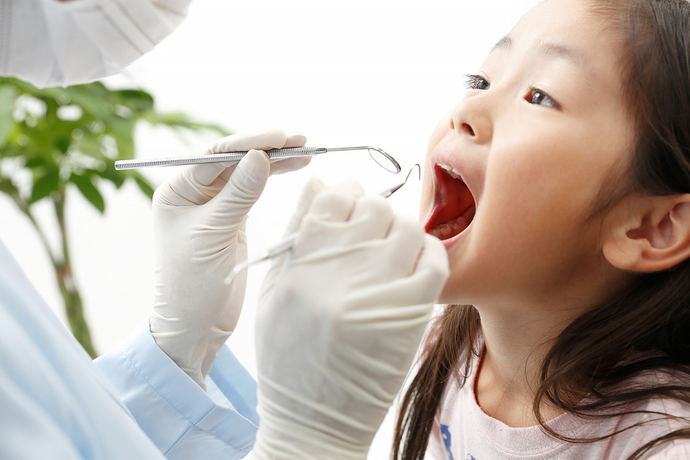 日本矯正歯科学会の認定医が治療を担当